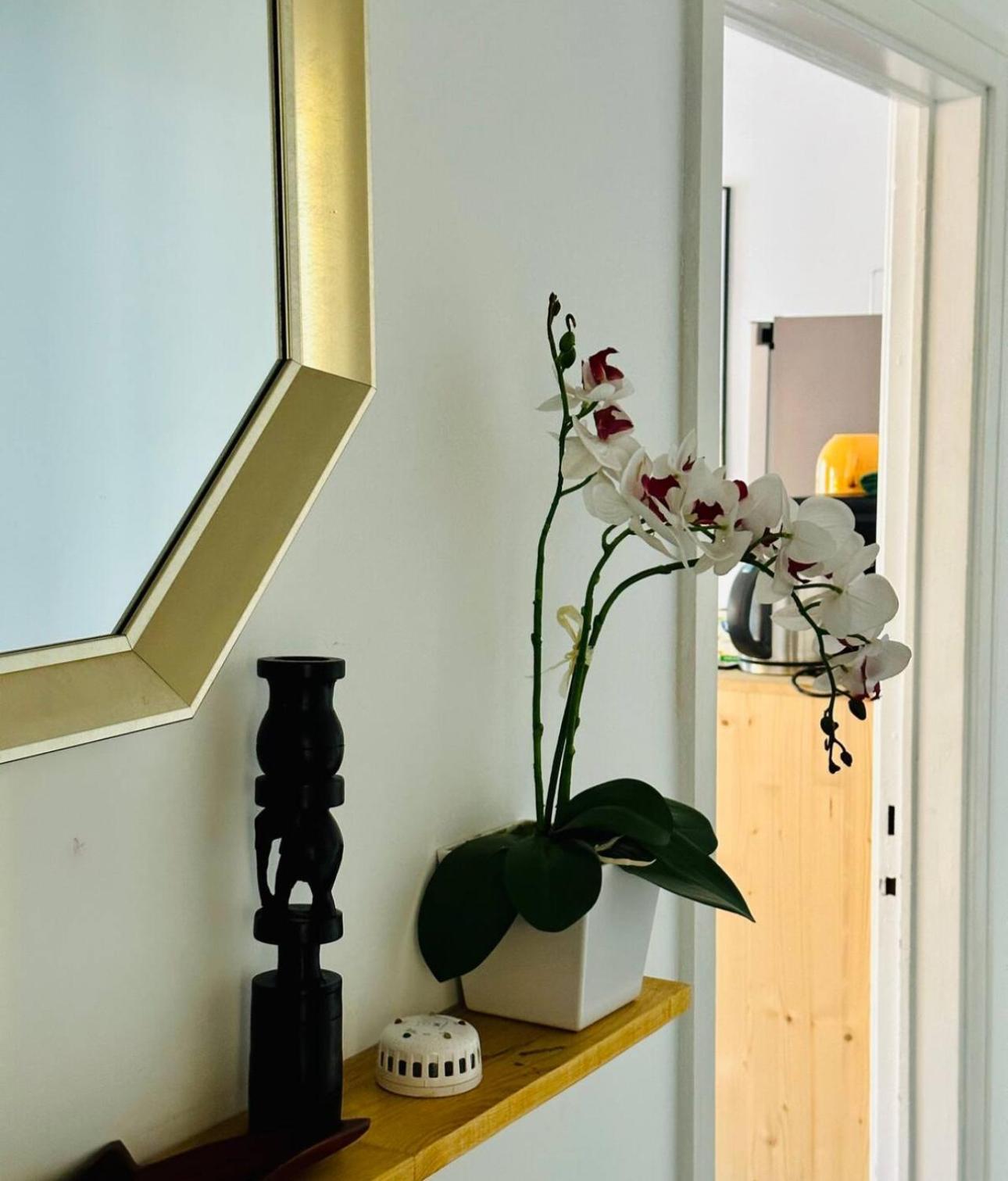 Self-Check In Sunny & Charming Apt Coimbra Buitenkant foto